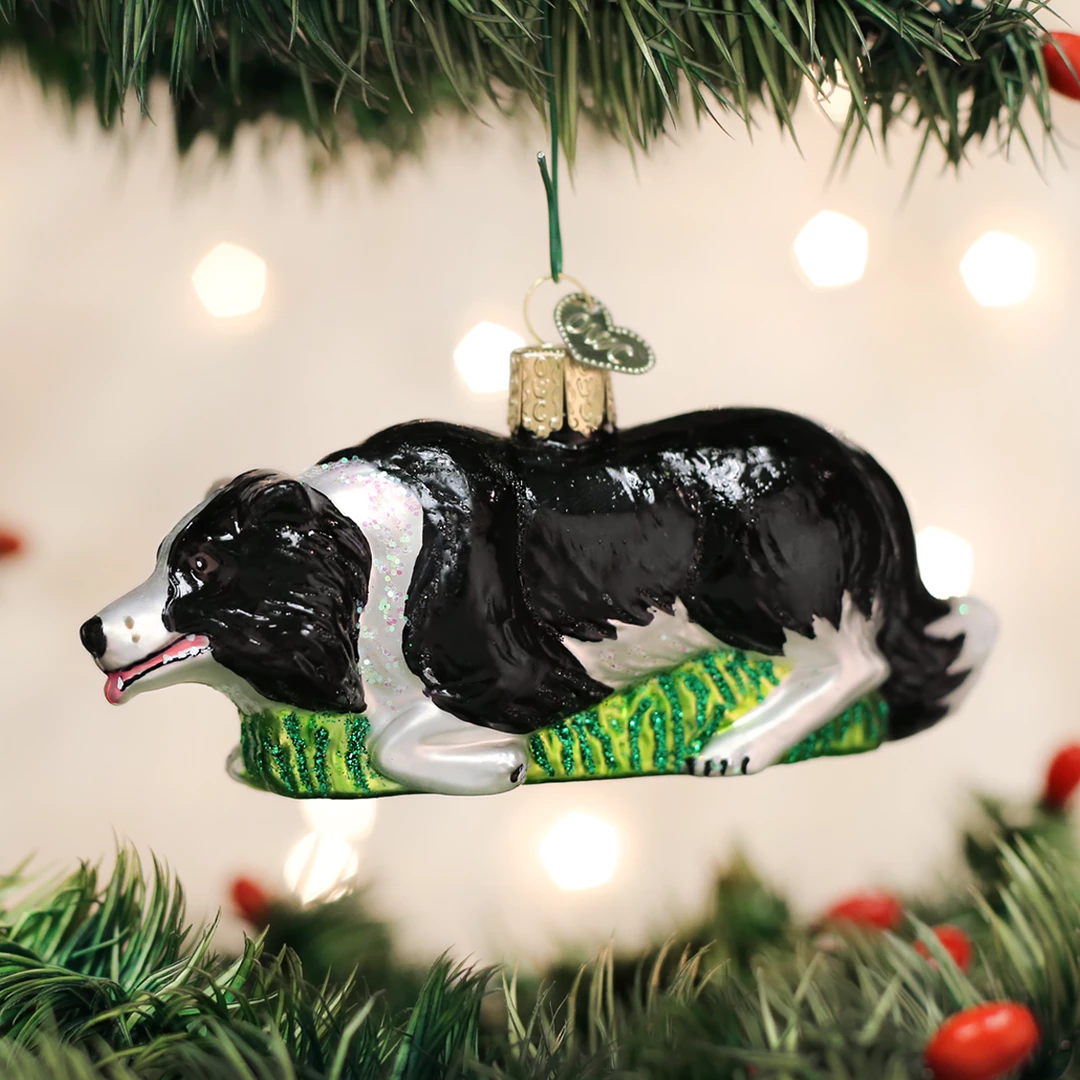 Old World Christmas Herding Border Collie Ornament 3 Old World Christmas Herding Border Collie Ornament