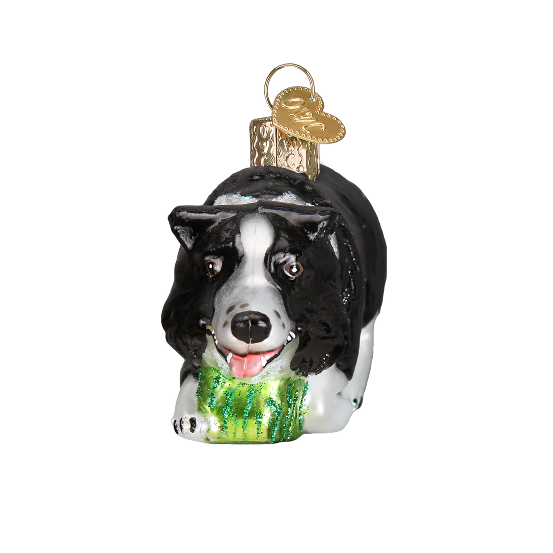 Old World Christmas Herding Border Collie Ornament 4 Old World Christmas Herding Border Collie Ornament