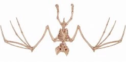 Seasons USA Bat Skeleton Figure