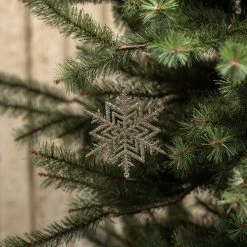 Ragon House New! Champagne Glittered Snowflake Ornaments