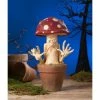 David Everett New! Mad Mushroom