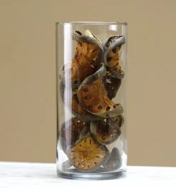 TheHolidayBarn.com Dried Quince Slices Vase Filler