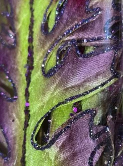 New! Katherine's Collection Witches' Triple Fern Spray, Set Of 6