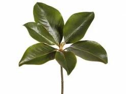 TheHolidayBarn.com Magnolia Leaf Picks, Set Of 3 New!