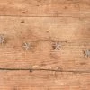 Ragon House Moravian Star Garland, Champagne Glittered New!
