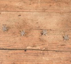 Ragon House Moravian Star Garland, Champagne Glittered New!