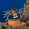 Bethany Lowe New! Mr. Bones Spider On Box 1 Bethany Lowe New! Mr. Bones Spider On Box