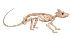 Seasons USA Rat Skeleton