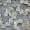 Cody Foster Shell Button Garland Christmas