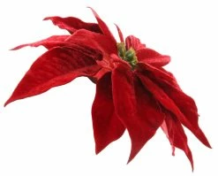ShiShi New! Velvet Poinsettia Clip, Large