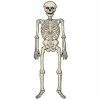 Beistle Vintage Jointed Skeleton