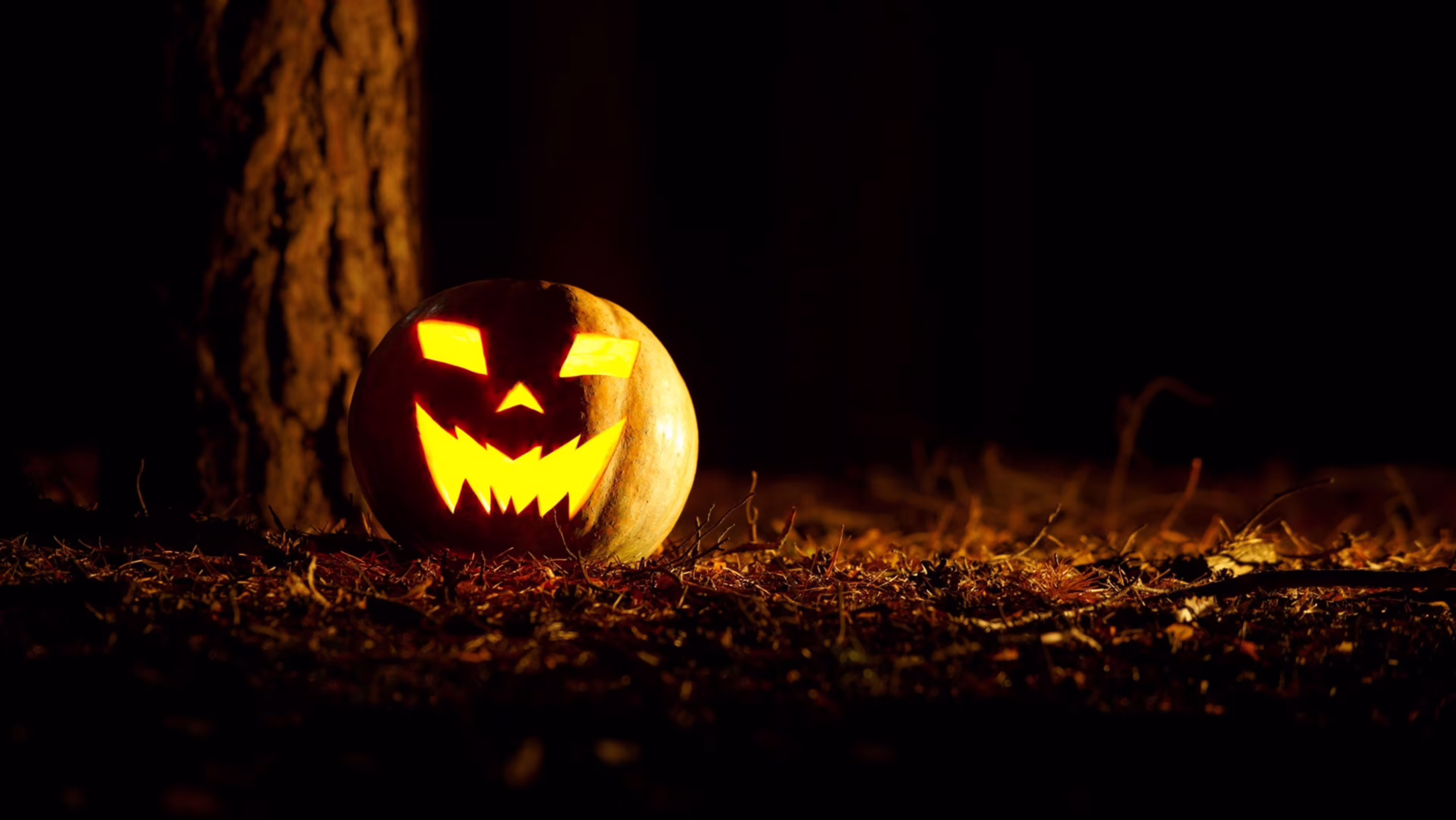 Halloween Wonders -Halloween Wonders jack o lantern gettyimages 162252827 2 scaled